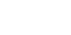 minilogo2025whit.png