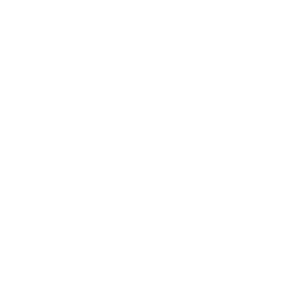 octopus-logo@2x-1.png